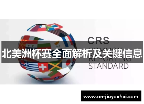 北美洲杯赛全面解析及关键信息